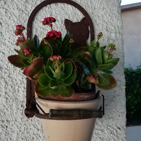 Apartment Casa Molara